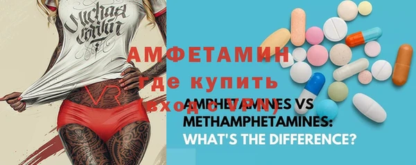 индика Белокуриха