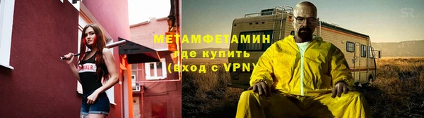 индика Белокуриха