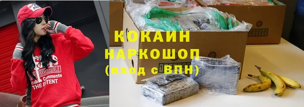 индика Белокуриха