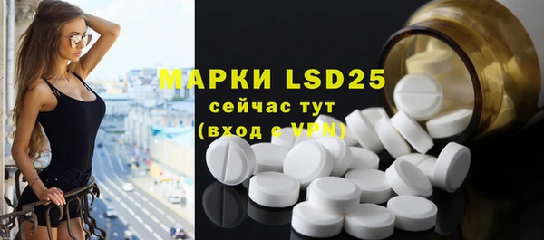 индика Белокуриха
