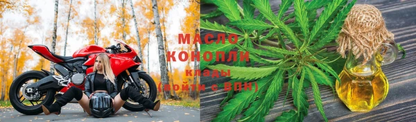 индика Белокуриха