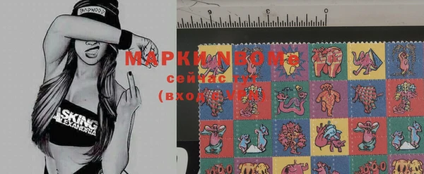 индика Белокуриха